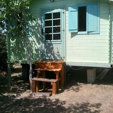 Campsite Campeggio Bungalow Darwin Alimini