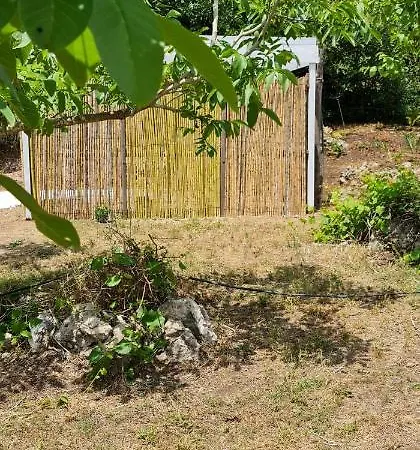 Darwin مكان تخييم *