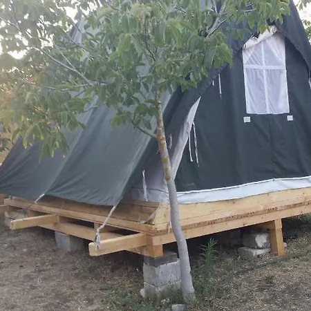 Darwin أليميني