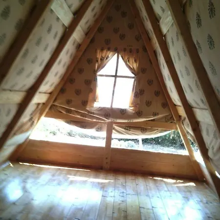 Darwin * أليميني