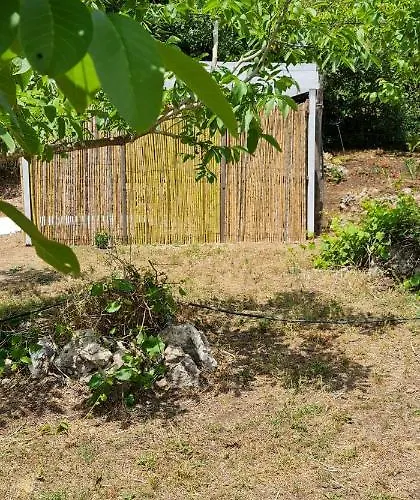 Darwin Kamp alanı *