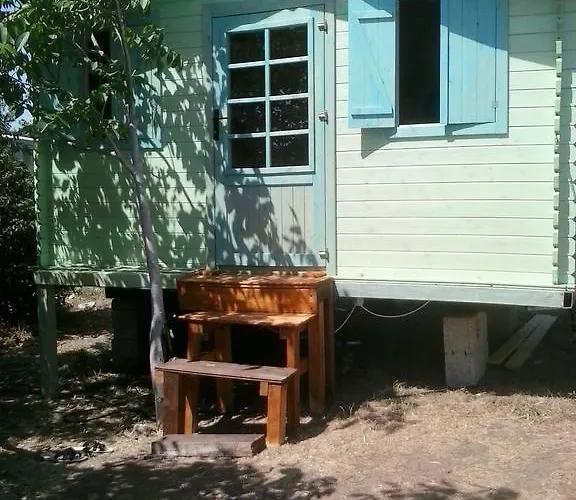 Kamp alanı Darwin Alimini